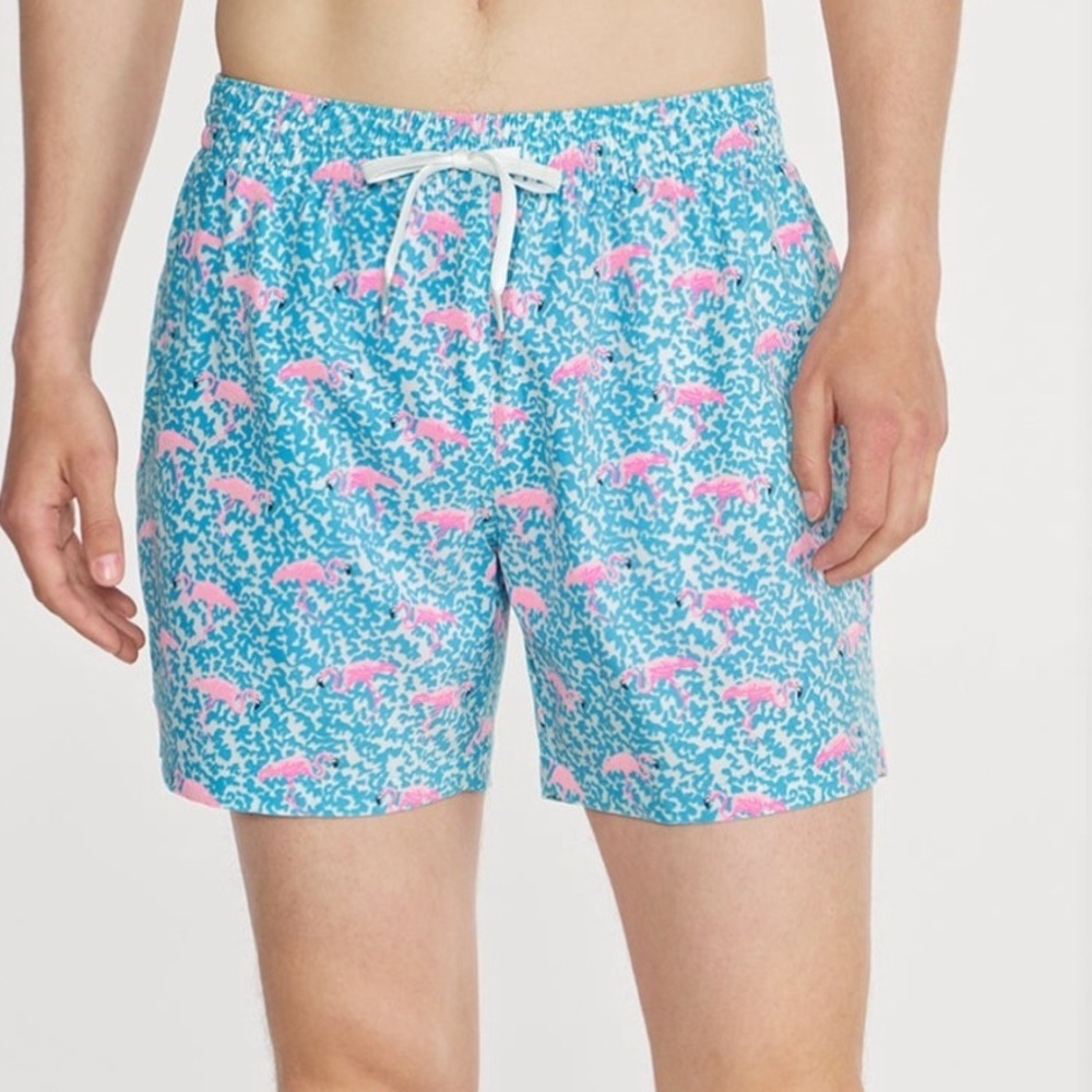 Chubbies Men’s Swim Trunks the Domingos Mini Flamingos Blue Pink 5.5” Inseam